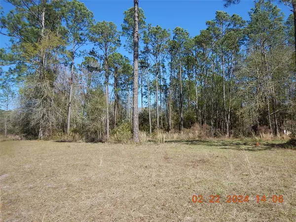 Hampton, FL 32044,Lot 24 FOX HOLLOW DR