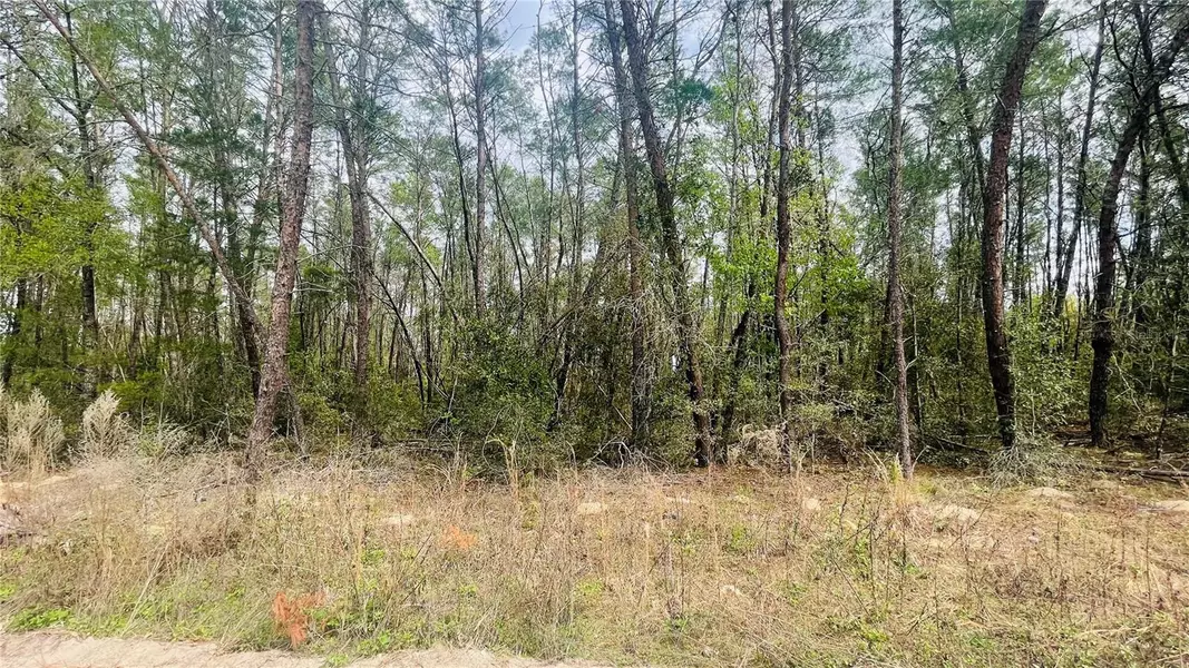 LOT 12 NE 139TH AVE, Williston, FL 32696