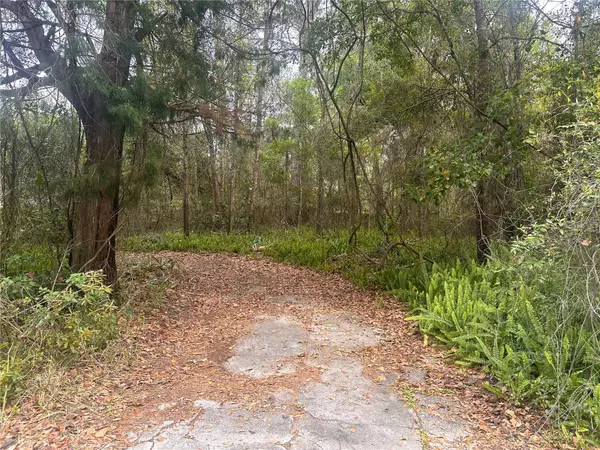 301 SE 20TH ST,  Gainesville,  FL 32641