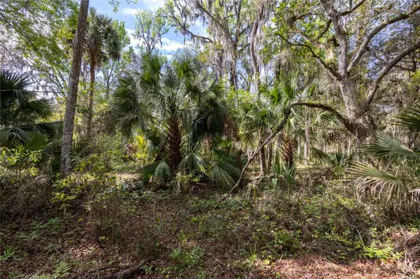 Micanopy, FL 32667,00 SE TUSCAWILLA RD