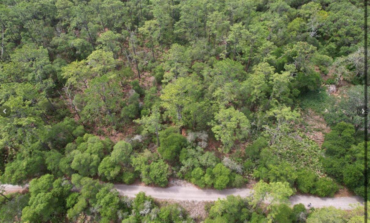 9621 SW 160TH ST, Dunnellon, FL 34432