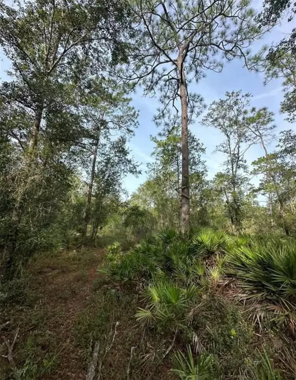 SW 155TH ST,  Dunnellon,  FL 34432