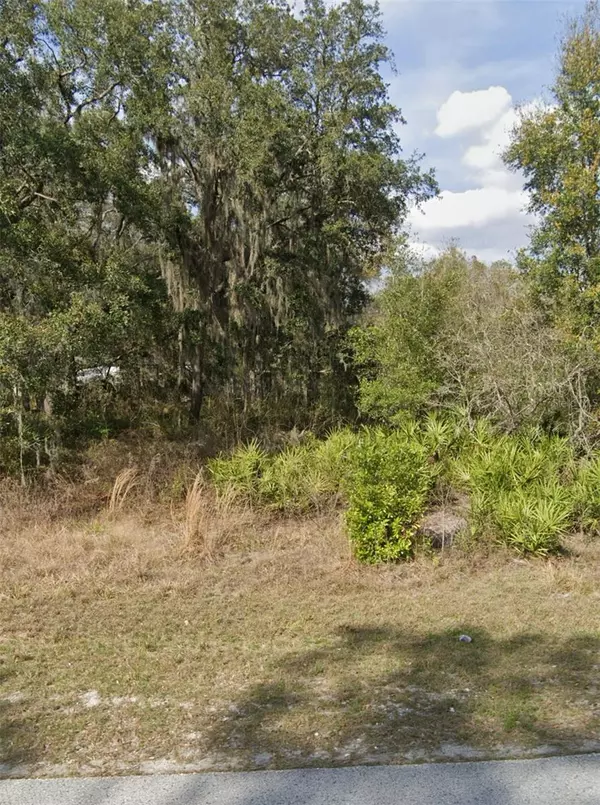 Webster, FL 33597,9446 ROUSSEAU ST