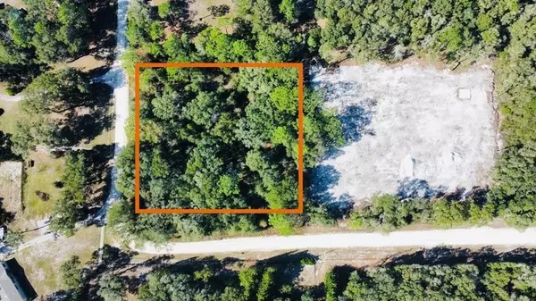 NE 660TH ST, Cross City, FL 32628