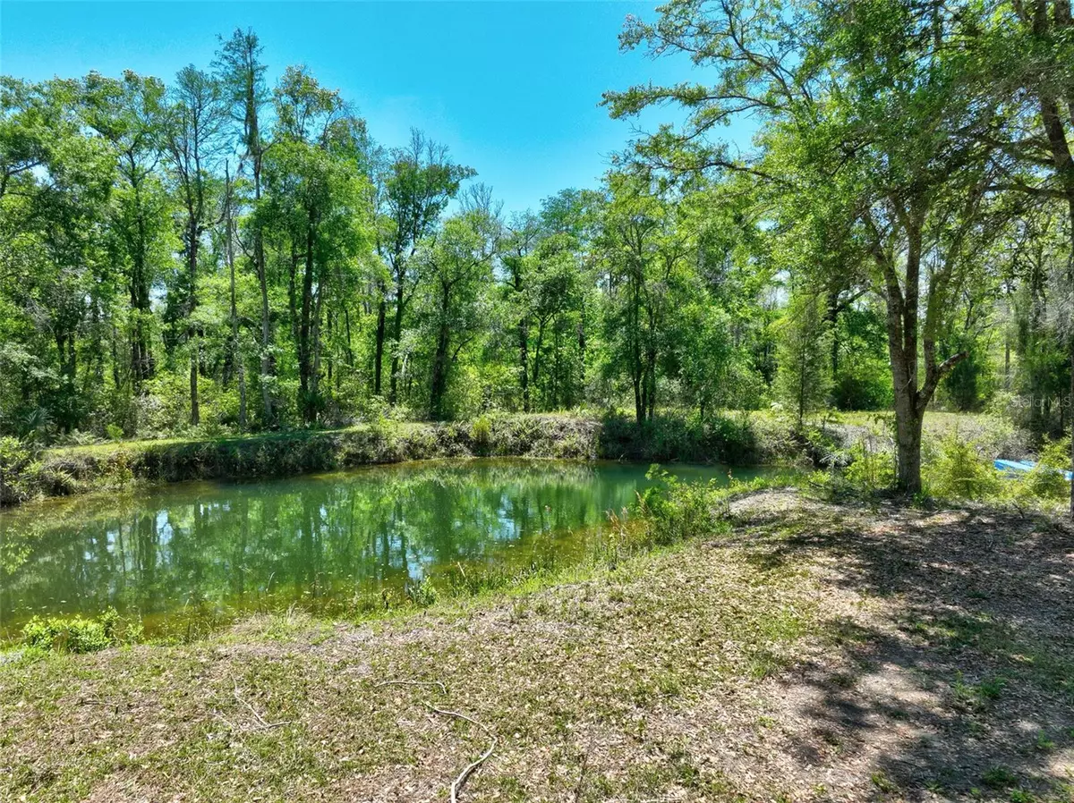 Chiefland, FL 32626,0000 NW CLYATT ROAD