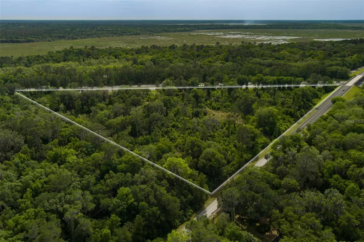 Micanopy, FL 32667,00 SE WACAHOTTA RD