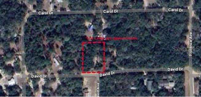 111 DAVID DR, Interlachen, FL 32148