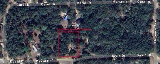 Interlachen, FL 32148,111 DAVID DR