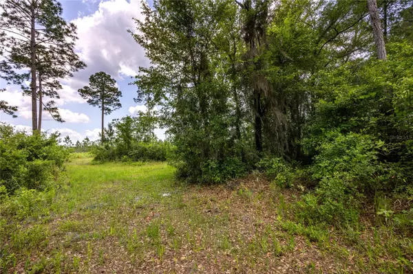 Waldo, FL 32694,0 COUNTY ROAD 225