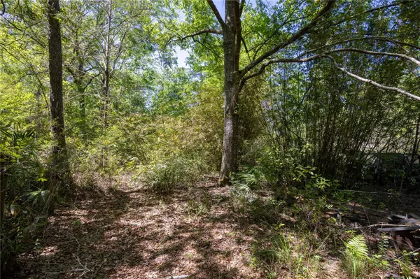 Waldo, FL 32694,NE 108TH AVE