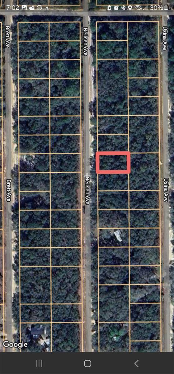 Interlachen, FL 32148,TBD NEILSEN AVE