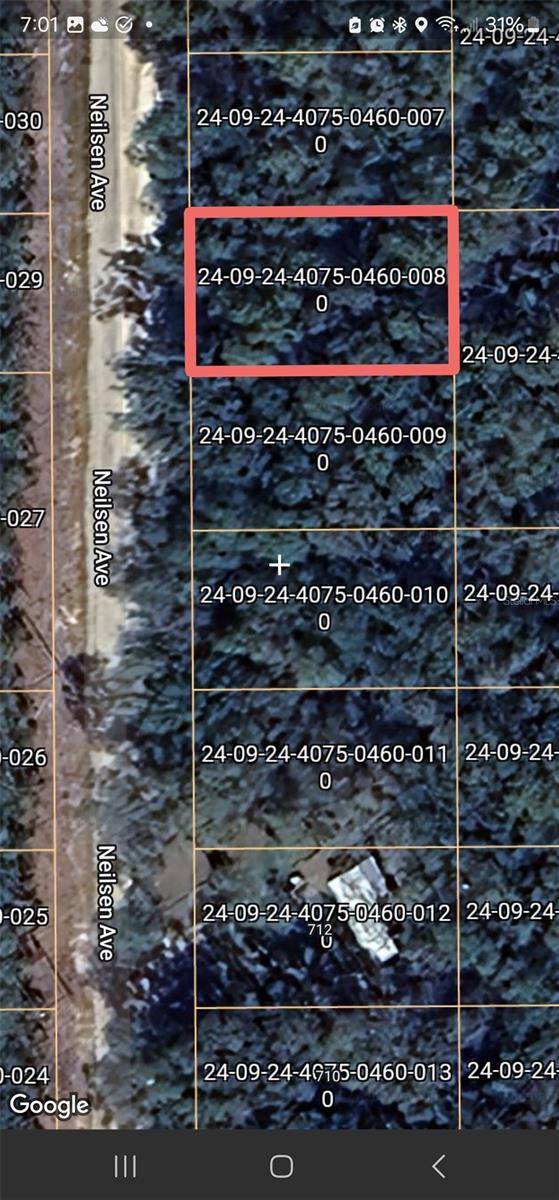 Interlachen, FL 32148,TBD NEILSEN AVE