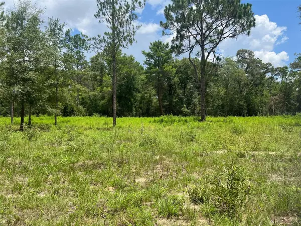 Bronson, FL 32621,TBD NE 78TH LN