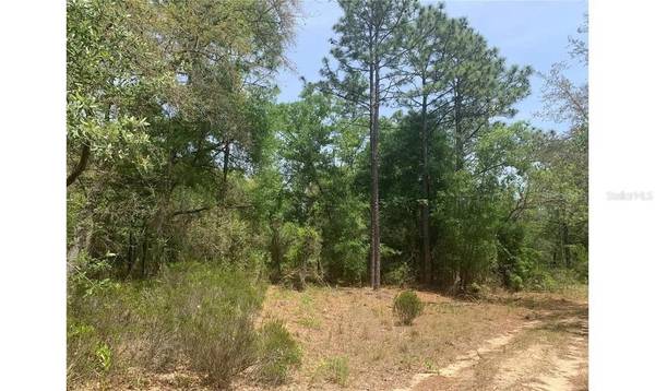 LOT 70 ARIANE LN, Interlachen, FL 32148