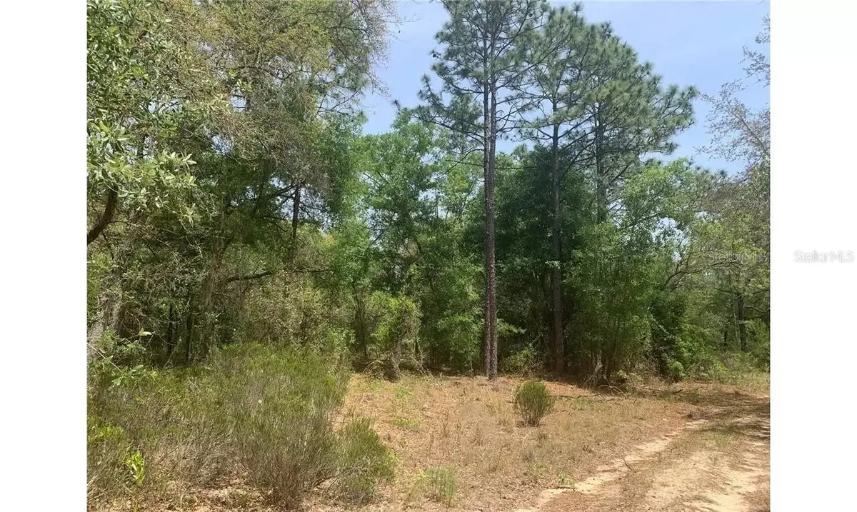 Interlachen, FL 32148,LOT 70 ARIANE LN