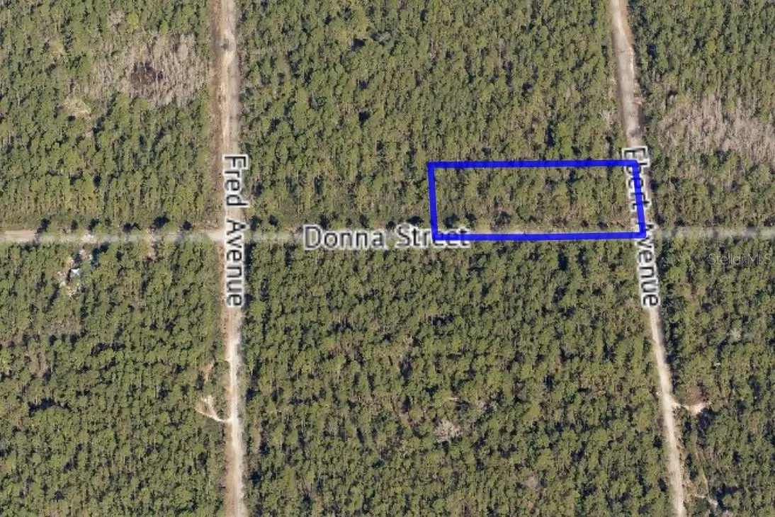 Hastings, FL 32145,000 DONNA ST