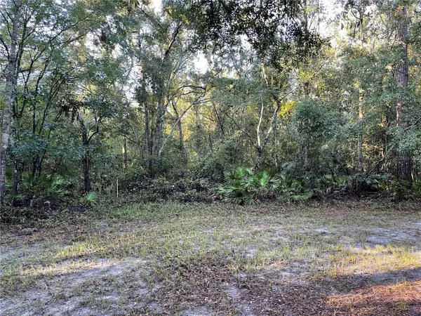 TBD SW 188TH PL, Mc Alpin, FL 32062