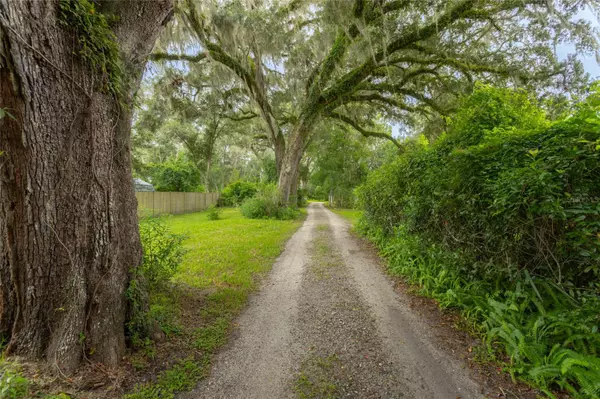 Micanopy, FL 32667,255 W SMITH AVE