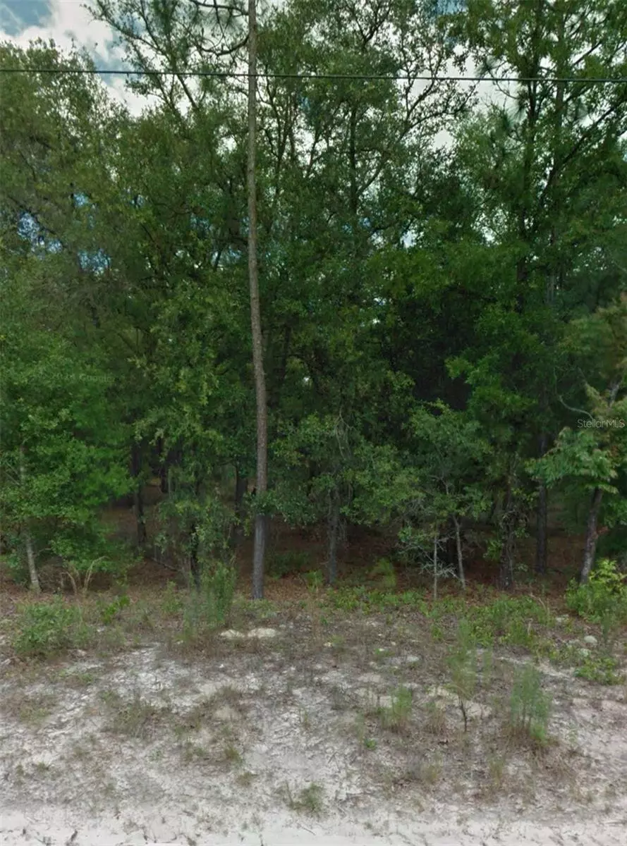 Citrus Springs, FL 34433,10707 N HATARI DR