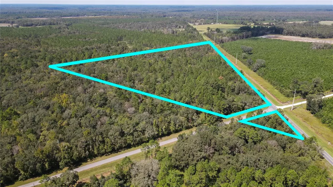 20994 SW COUNTY ROAD 18, Brooker, FL 32622