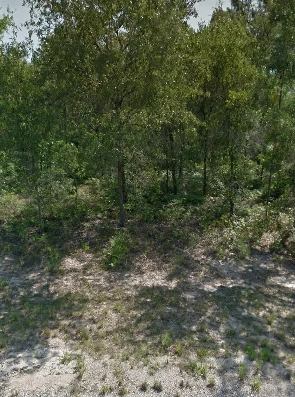 Citrus Springs, FL 34433,3193 W BARBERTON PL