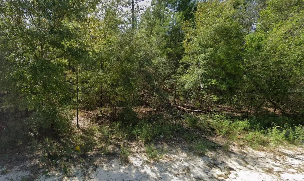 Lot 85 NE 83RD PL, Bronson, FL 32621