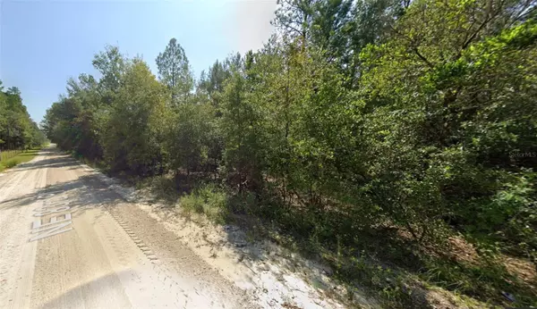 Bronson, FL 32621,Lot 85 NE 83RD PL