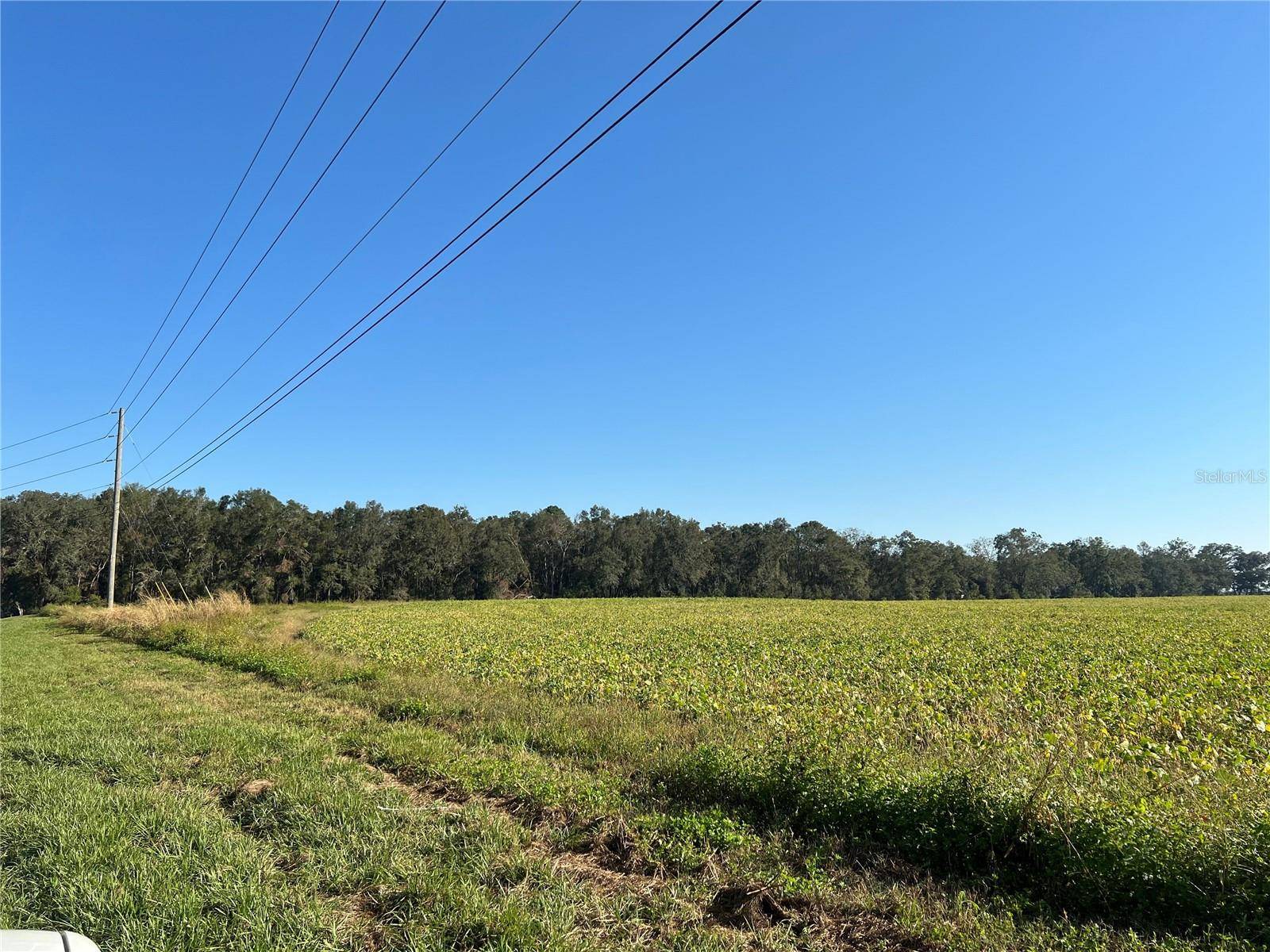 Bell, FL 32619,S US-129 HWY