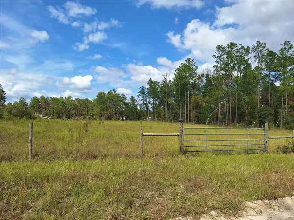 Williston, FL 32696,000 SE 8TH ST