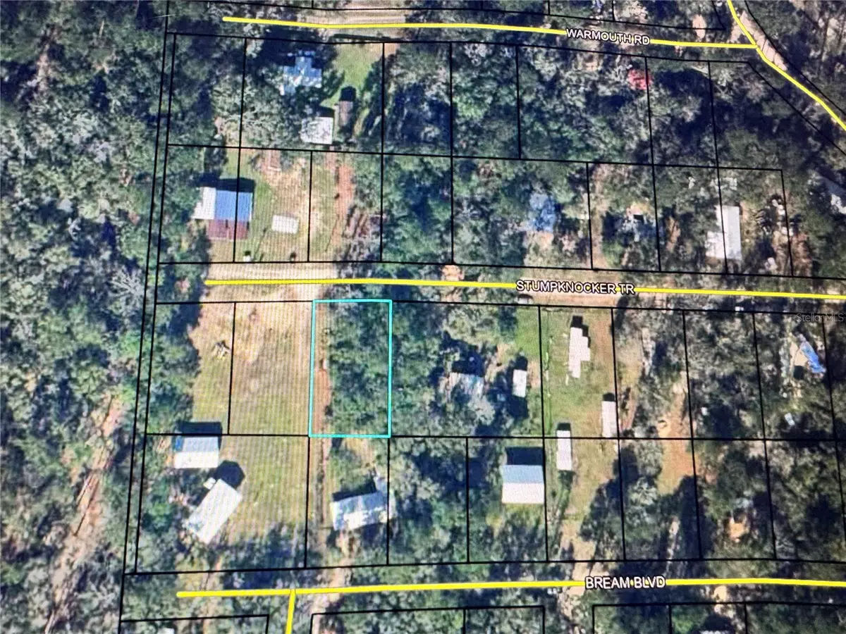 Vernon, FL 32462,TBD STUMPKNOCKER TRL