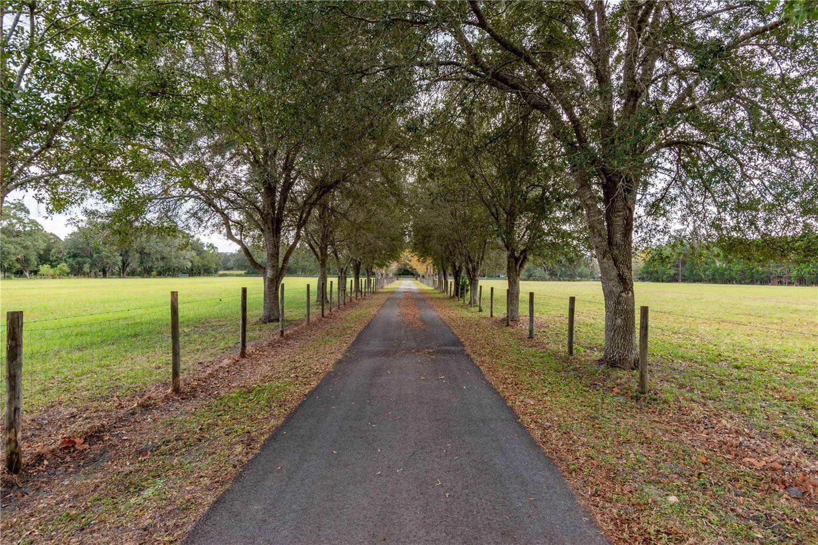 Hawthorne, FL 32640,23004 E COUNTY ROAD 1474