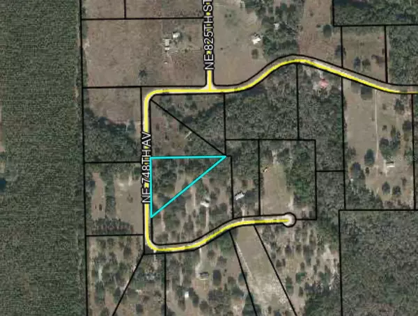 Old Town, FL 32680,LOT 31 748TH AVE