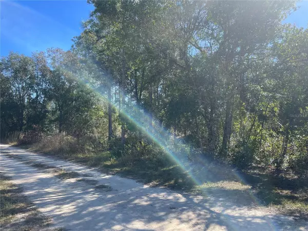 Williston, FL 32696,000 NE 51ST PL