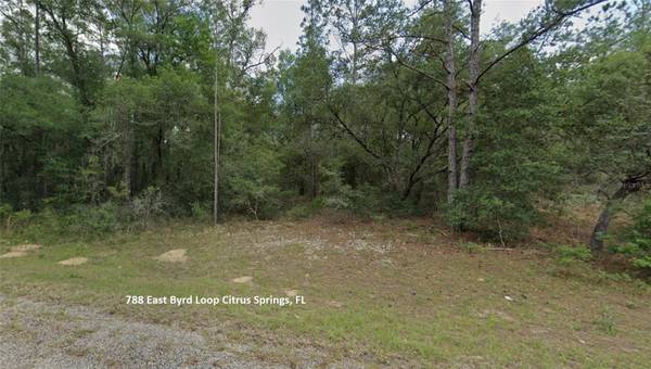 788 E BYRD LOOP, Dunnellon, FL 34434