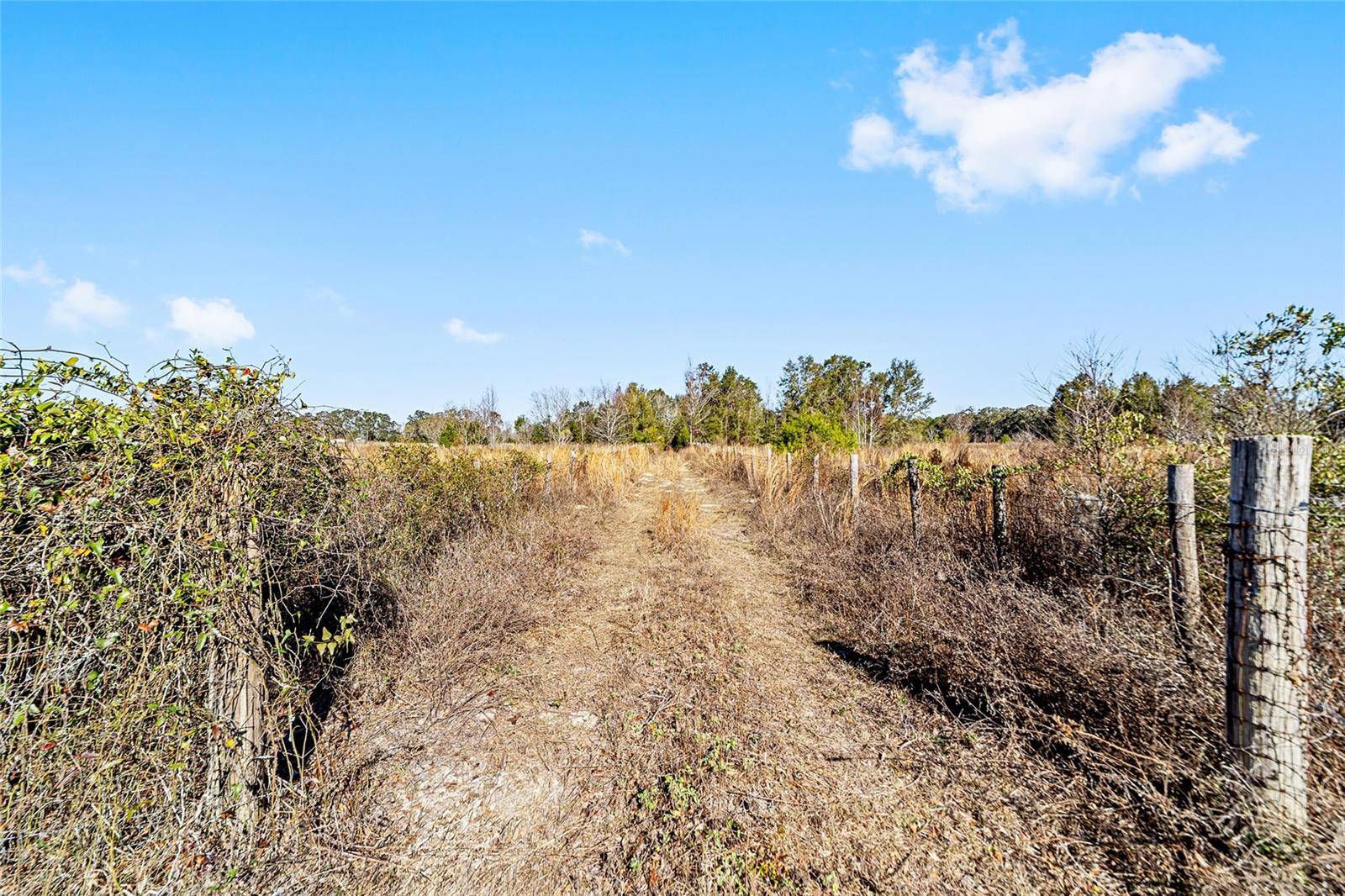 Bell, FL 32619,7100 SW COUNTY ROAD 344