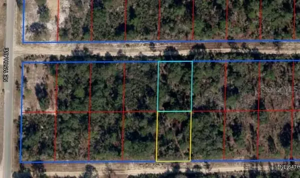 NE 64TH PL, Williston, FL 32696