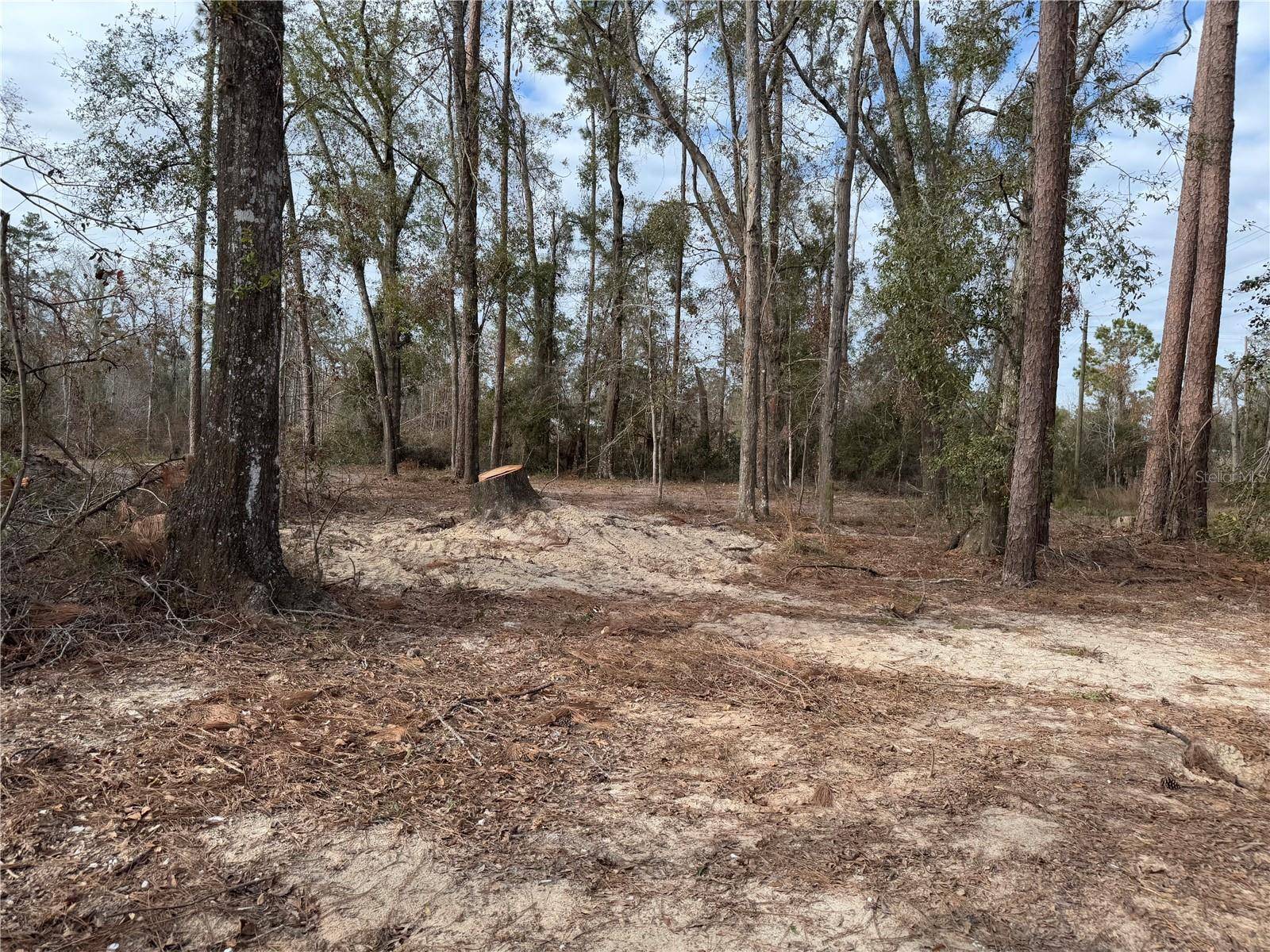 Live Oak, FL 32060,3678 205TH LN