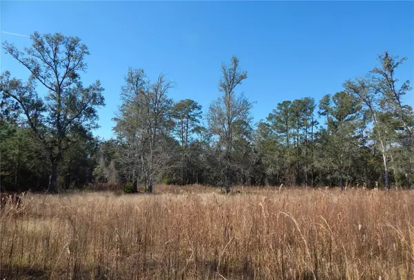 Lake City, FL 32025,00 SW COMMANDER CT