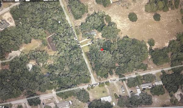 TBD 39430-32-025 SE 168 AVE, Ocklawaha, FL 32179