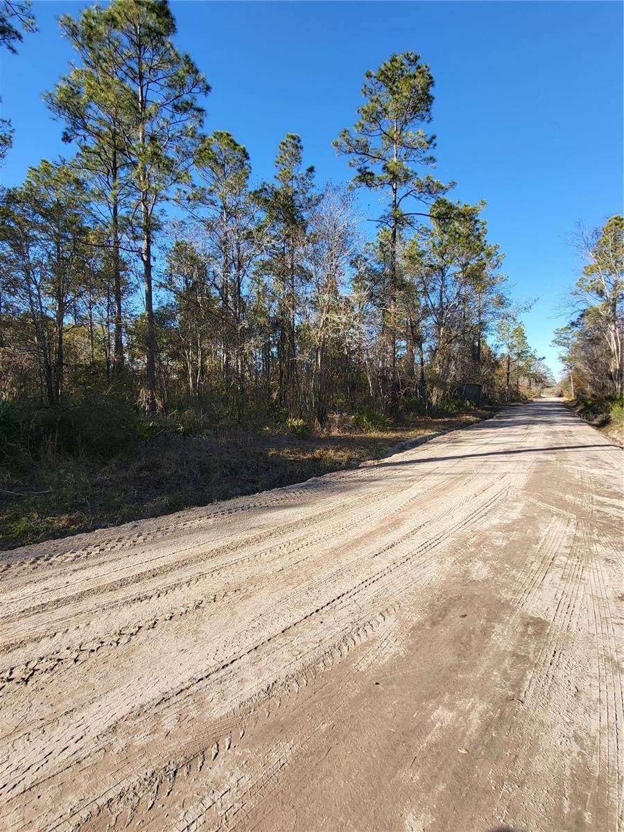 Lake City, FL 32055,1806 NE TRIPLE RUN RD