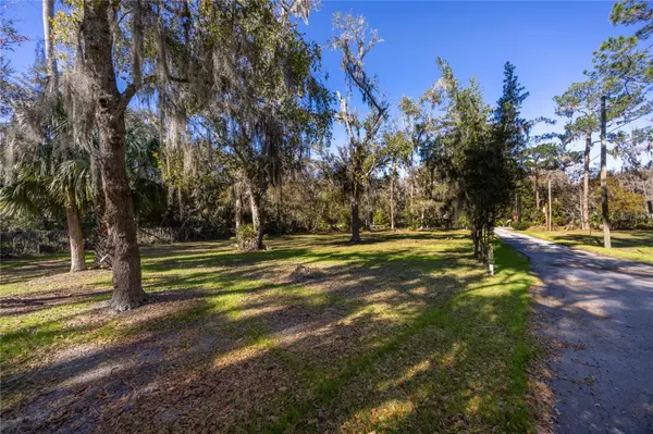 Micanopy, FL 32667,5650 NW 219 ST