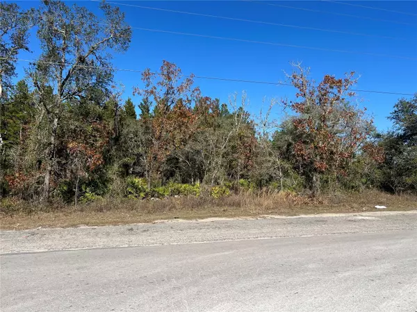 NE 69 LN, Williston, FL 32696