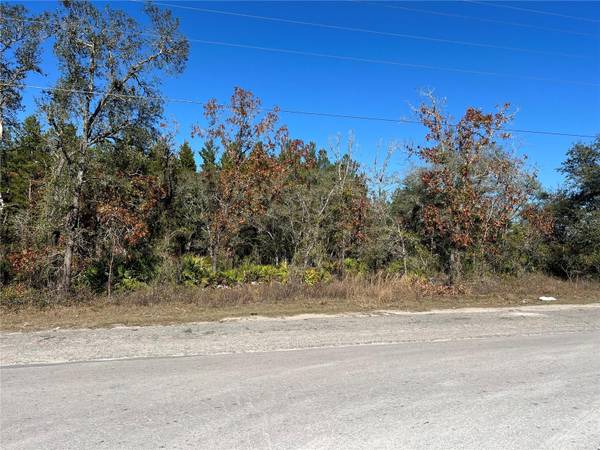 NE 69 LN, Williston, FL 32696