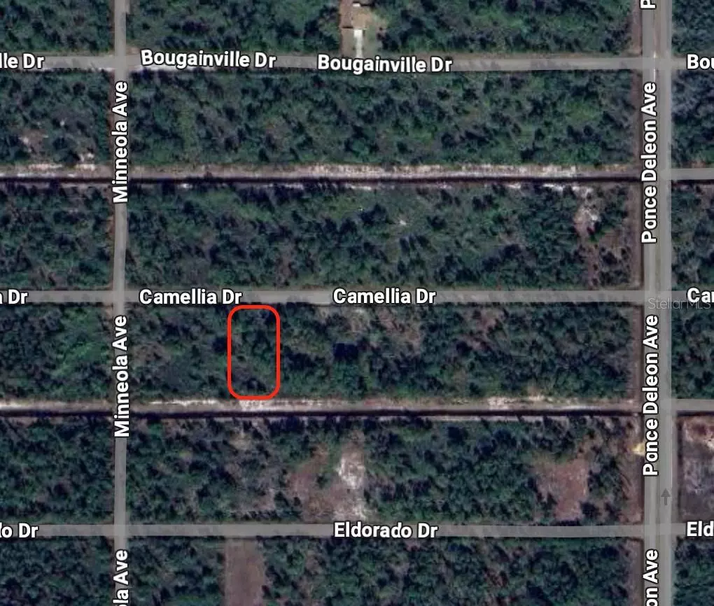 Indian Lake Estates, FL 33855,419 CAMELLIA DR