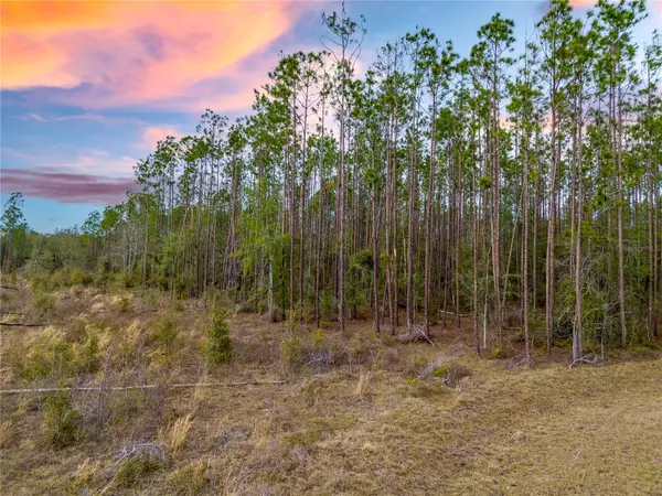 Live Oak, FL 32060,211TH CT