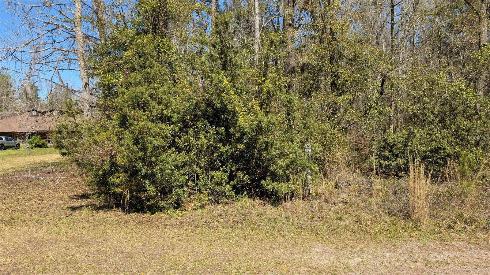 Lake Butler, FL 32054,SW 115TH CT