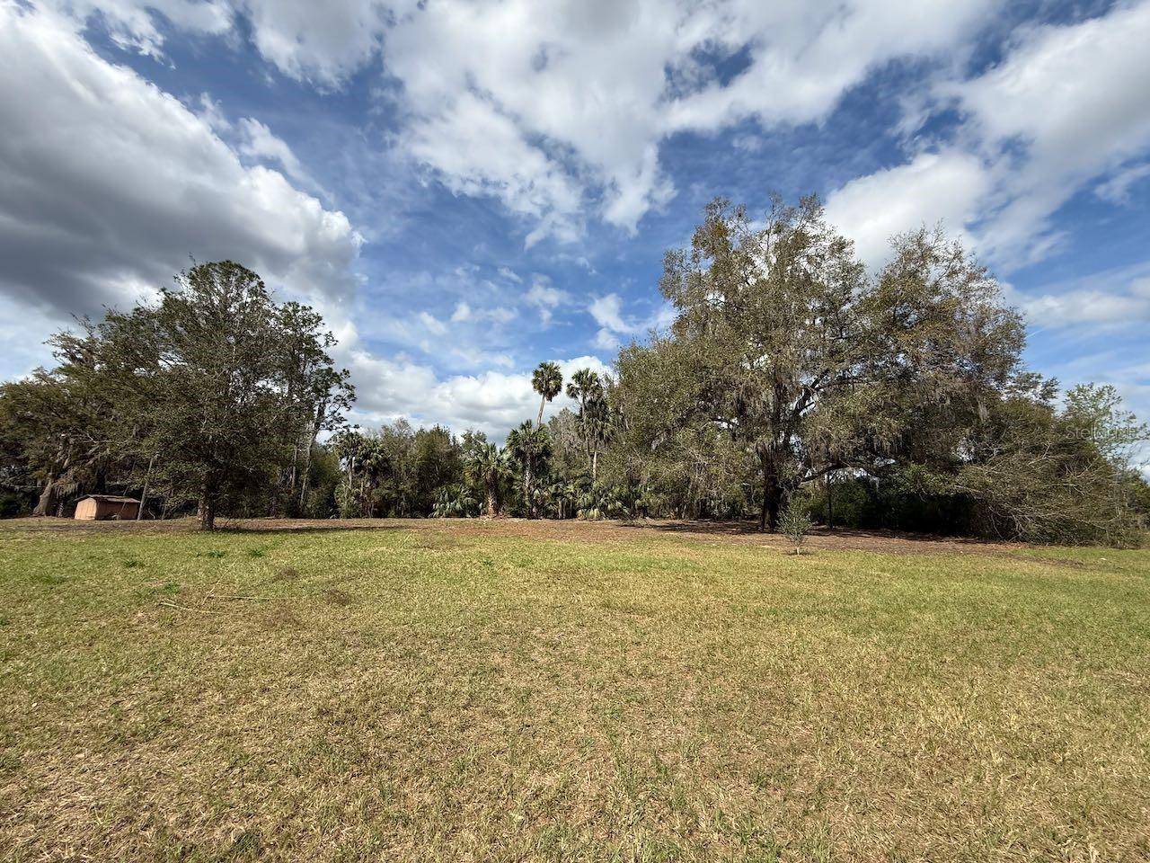 Citra, FL 32113,000 NE 184TH PL