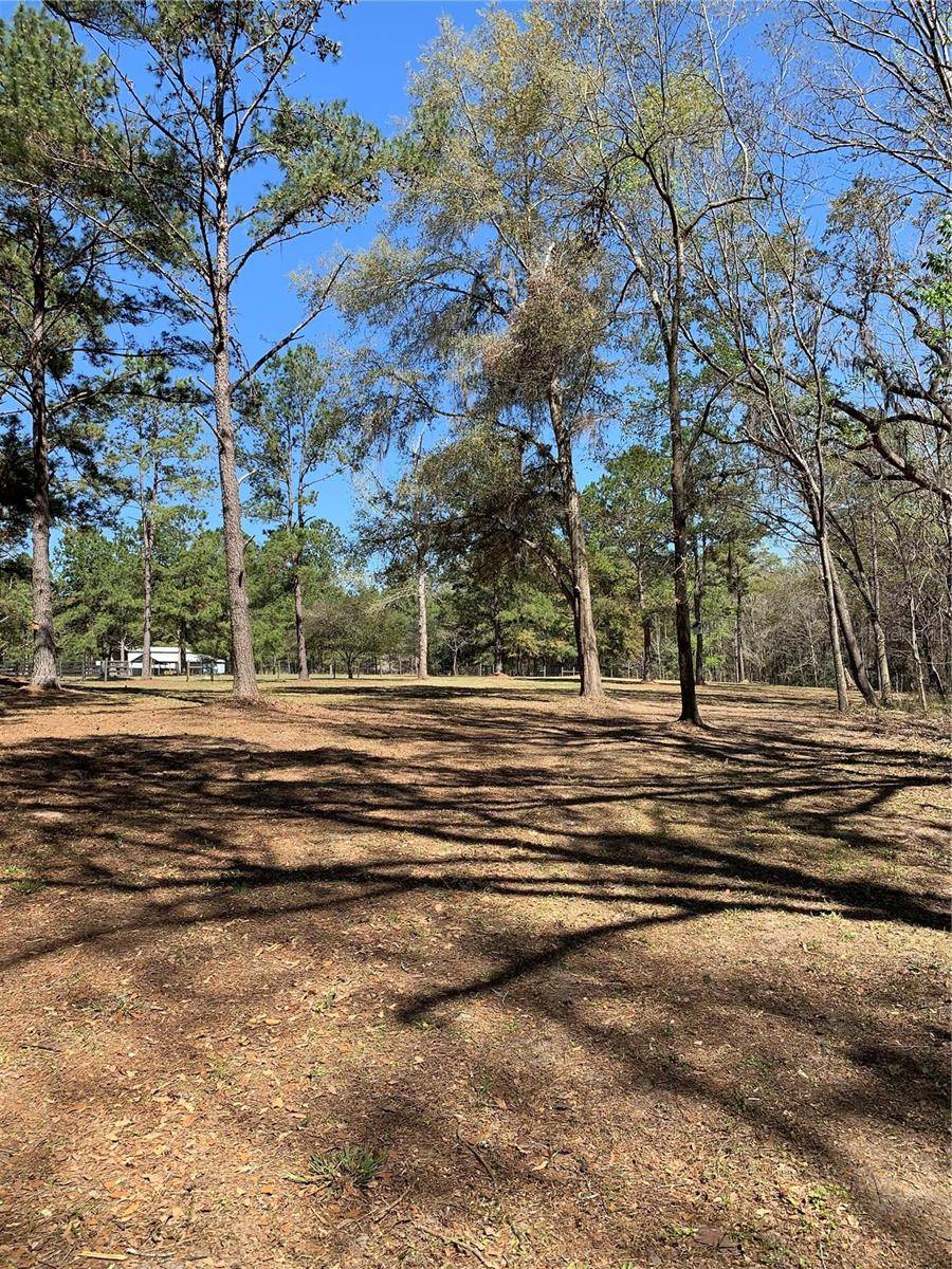 NW 169TH DR, Alachua, FL 32615