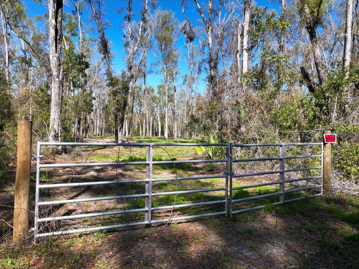 Old Town, FL 32680,000 NE 575TH ST