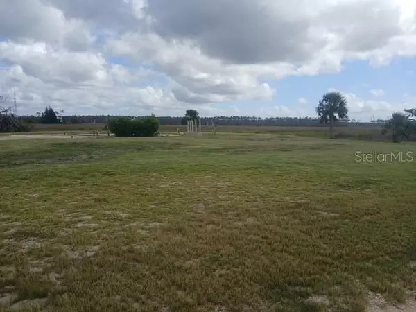 Steinhatchee, FL 32359,125 SW 284 AVE